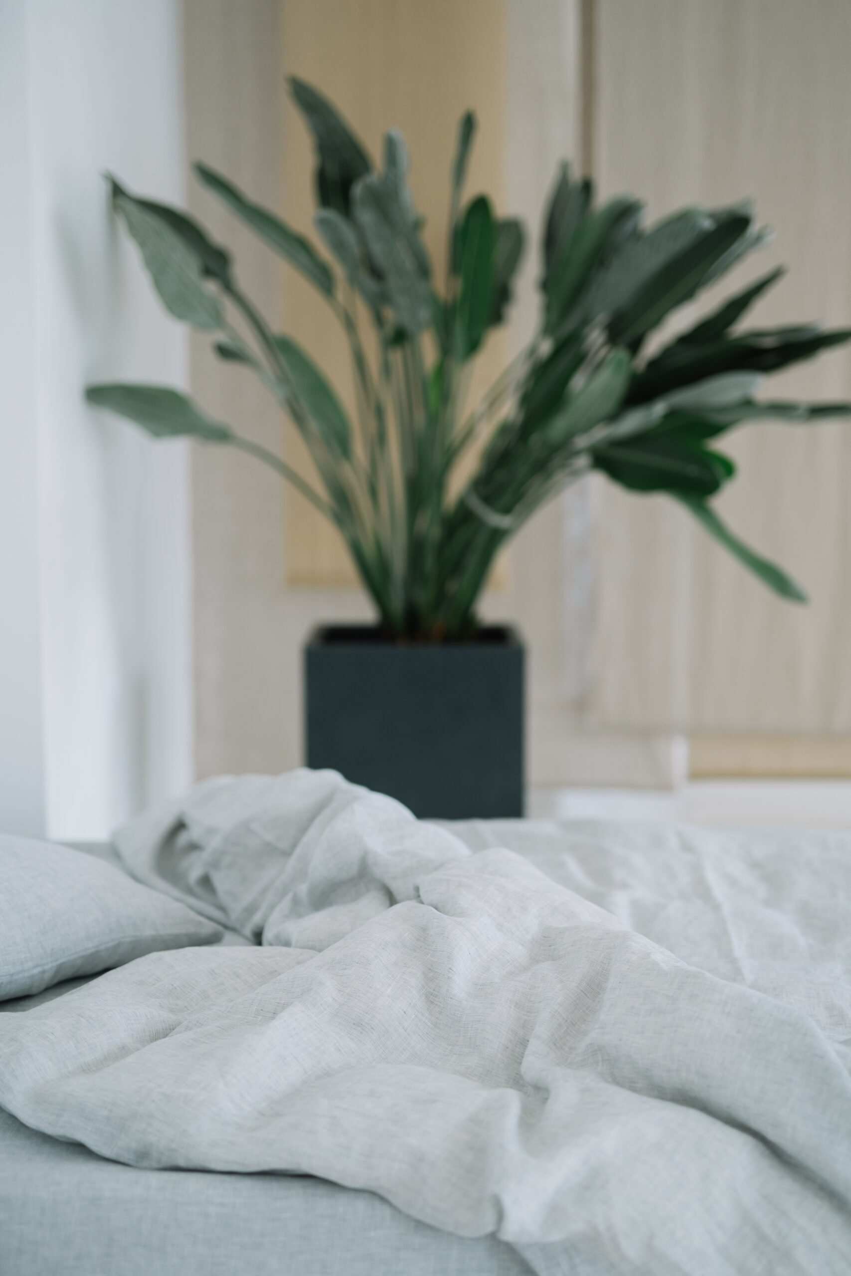 Dusty Grey 50x60cm pudebetræk og 90x200cm lagnersæt