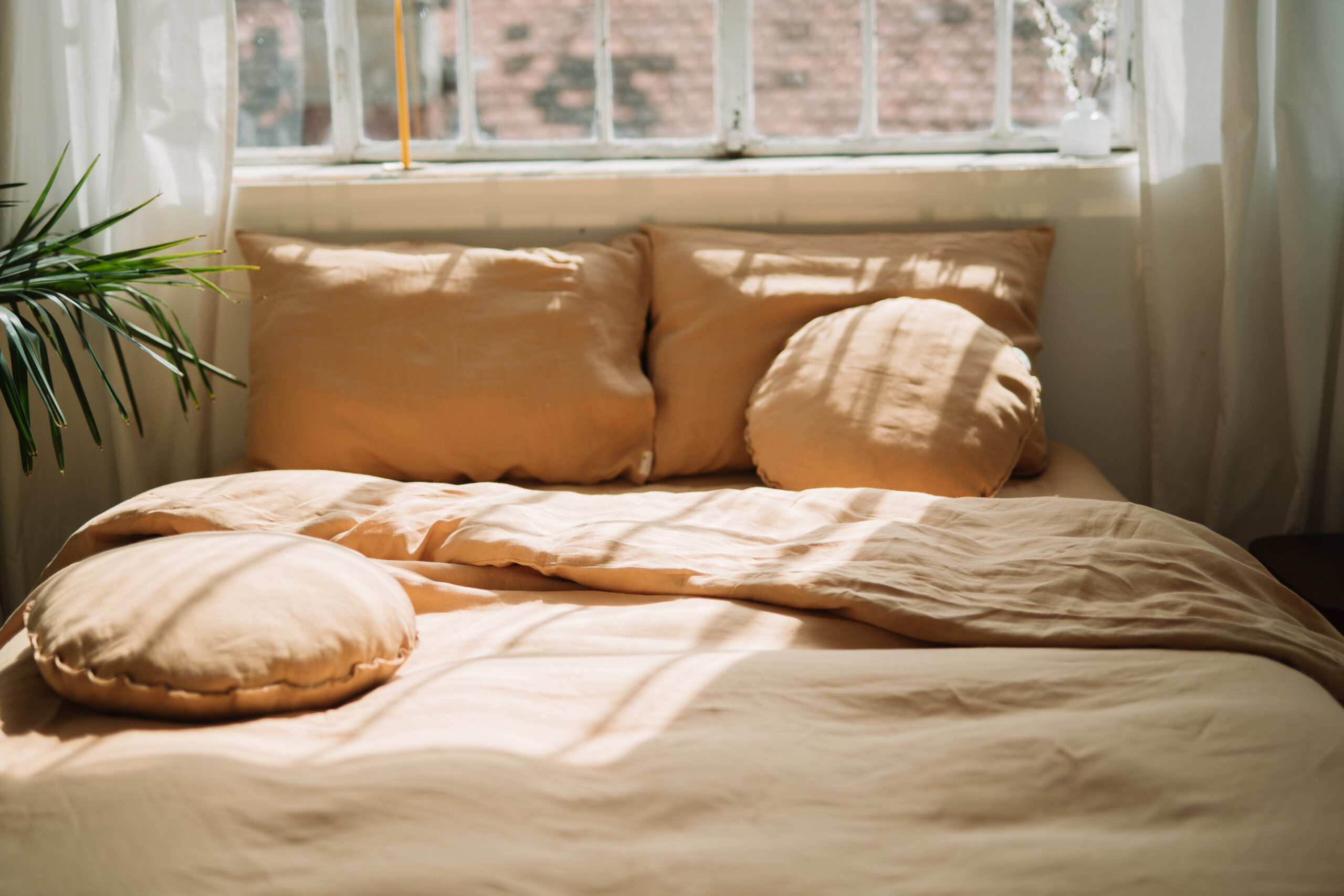 Sæt Gentle Daisy-pudebetræk 80x80 og pudebetræk 220x240