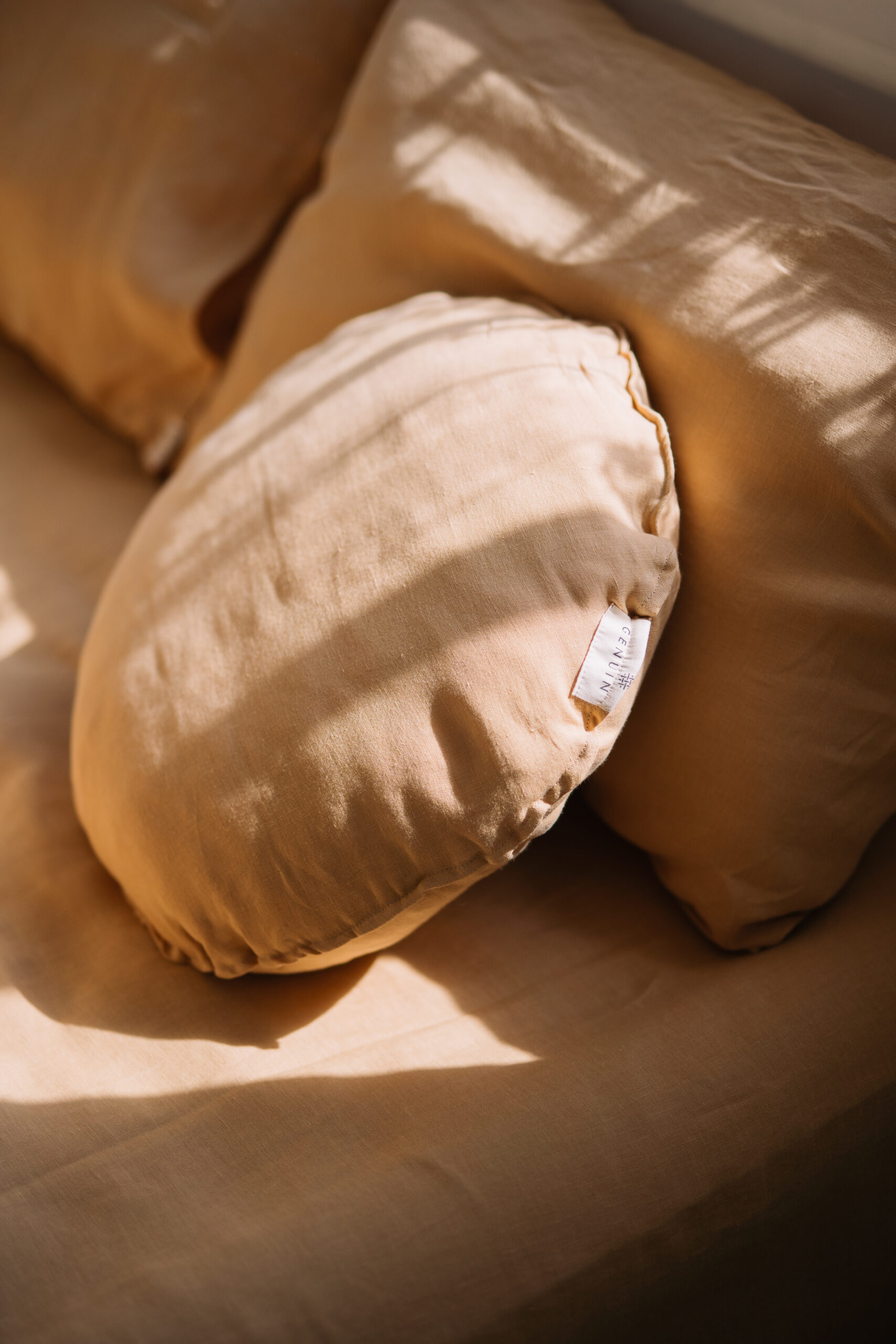 Sæt Gentle Daisy-pudebetræk 50x60 og lagen 80x200